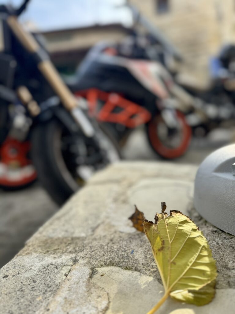 New Year Ride · January 2026