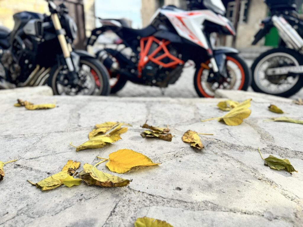 New Year Ride · January 2026